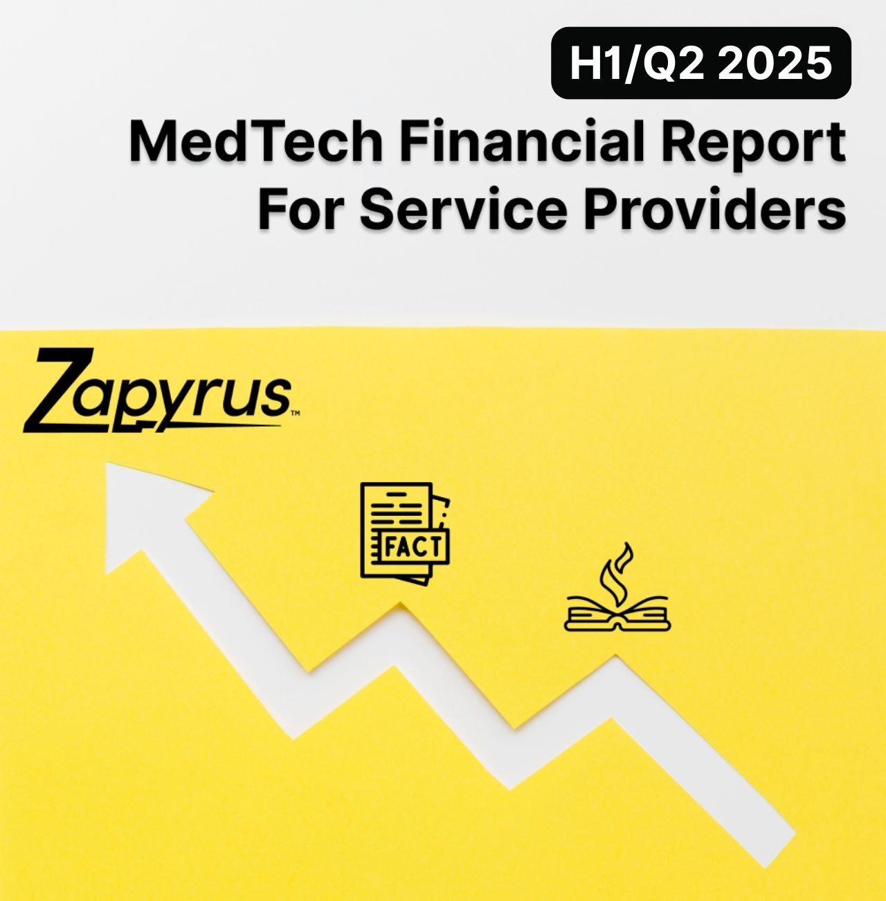 MedTech Financial Report H1 2025